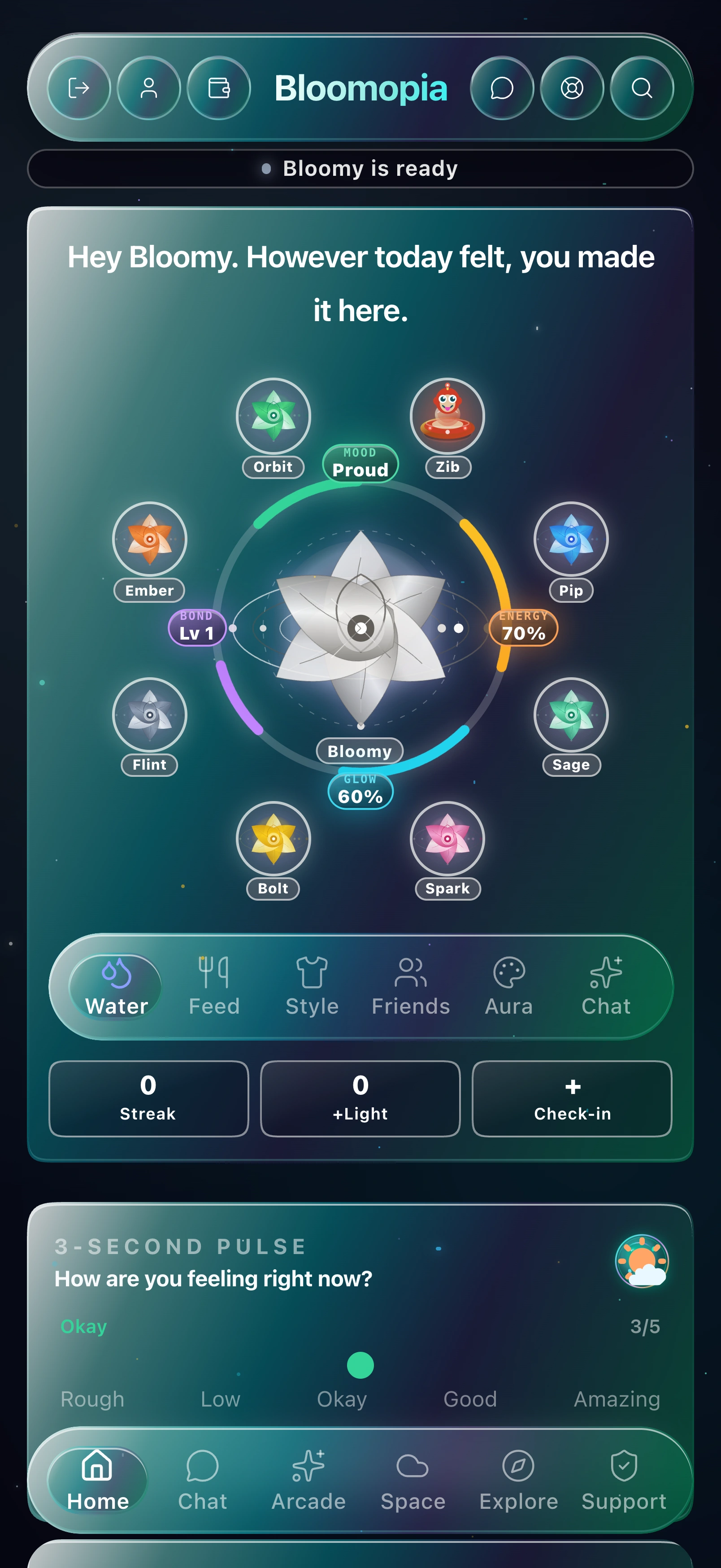 Face-to-Face — live call with Bloomy